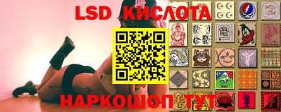 ALPHA PVP Коммунар