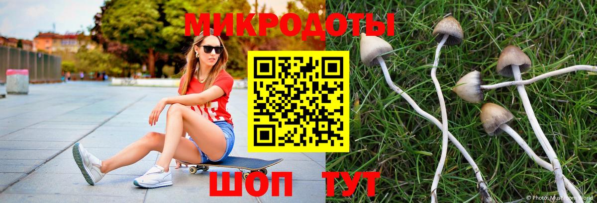 Галлюциногенные грибы Cubensis Ишим